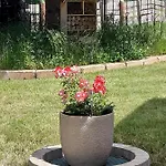 Haus Paula * Мальниц