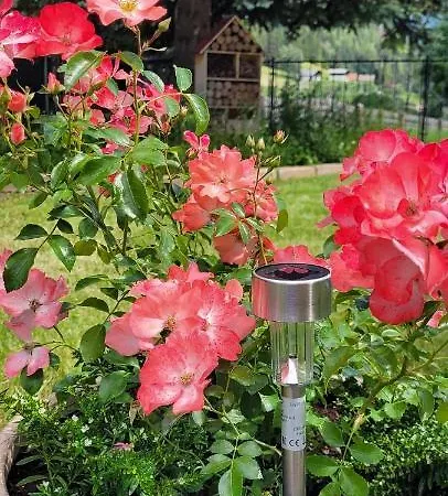 Apartament Haus Paula Mallnitz