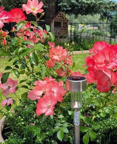 דירה Haus Paula מאלניץ