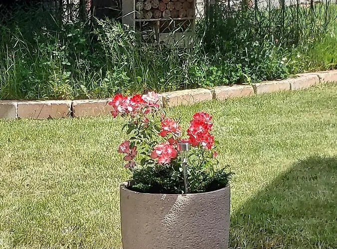 Haus Paula * מאלניץ